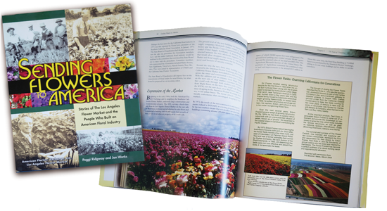 Brief: Design and layout for interior pages of “Sending Flowers to America” 